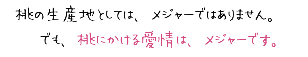 桃の生産地としては、メジャーではありません。でも、桃にかける愛情は、メジャーです。